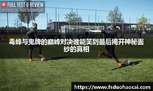 bsports官网入口
